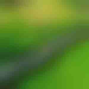 Kamienne obrzeże ogrodowe (10 szt.) | MINIFENCE