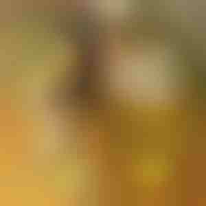 Akrylowa podświetlana tablica LED z 7 markerami | LUMOBOARD