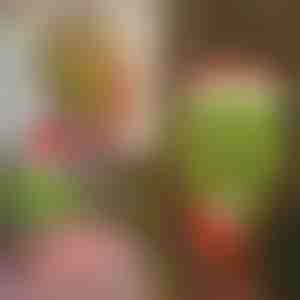 Dekoracja świąteczna Nogi Grincha | ELFLEGS