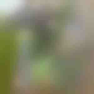 Motyka ogrodowa do łatwego usuwania chwastów | GRASSOE