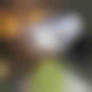 Światło solarne z czujnikiem ruchu | LUMACAM