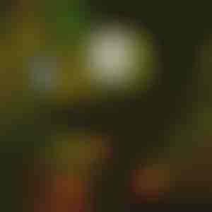 Solarne oświetlenie ścieżek (6 sztuk) | LUMITRAD