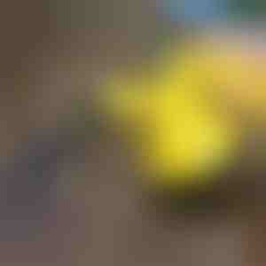 Myjka parowa do dezynfekcji | VAPERO