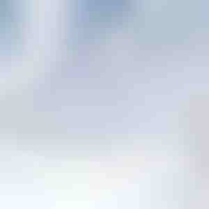 Magnetyczna osłona na przednią szybę | FROSTCOVER