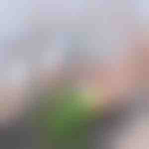 Zaawansowany filtr węglowy do kranu | CHARFILTER